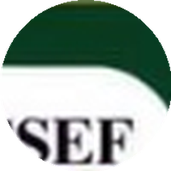 FESSEF France